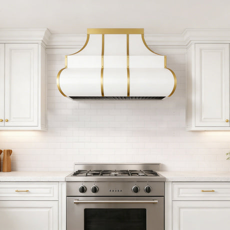 A Spectrum of Style: The Beauty of Colorful Stainless Steel Range Hoods