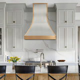 USA Modern Stainless Steel Stove Hood with Brass Trim URHS-130